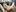 CurlyLara's photo