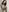 lauflor's photo