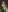 Zoe_Bae's photo