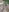 redgemi007's photo