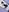 VioletAsh's photo