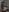 TOP 100 NUDES PIC