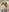 Porncorn's photo