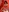 Red passion, fire skin. Nothing more matters.