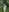 Risky Outdoor: Naked in the forest