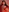 Red passion, fire skin. Nothing more matters.