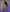 SaraMashmelo's photo