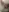 Chatte et anus rasée