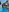 EleneBickford's photo