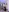 iamjackc_'s photo