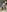 shiny_bee's photo