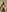 lit702's photo