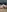 Luluof's photo