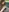 DelugeDuvall's photo