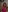 Lili_Danger's photo