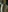 _Sati_'s photo