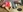 LenaBlackSummer's photo