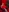 Elizabeth_Kitty_'s photo