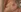 Sneak peaks