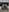 Rosehipsx76's photo