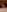 Halie_May's photo