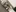 Cute_Foxy@xh's photo
