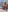 silver_fox_taboo's photo