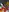 Ivanna18_x's photo