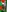 Samanta_james19's photo