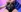 Evelynn's photo