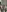kitty_alika's photo
