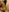 sex-withcouple's photo