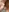 FrancaiseLynne's photo