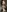 your_gf_is_here's photo