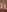 Titty /feet Teasers