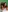 ScarletBarness's photo