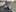 EvelynAngell's photo