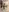 Taylor-Jonnees's photo