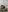 melissa_kisses's photo