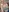cumonveronica's photo