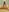 EvaMommyX's photo