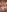 Toyjungee's photo