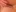 Kimmy_Webb's photo