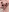 HardcoreHentai's photo