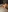 SashaMurphy's photo