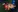 miaa_saenz1's photo