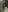 Willow__Love's photo
