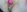 redfoxxy's photo