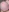 DeepSecret0's photo