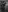 NicolleReyn's photo